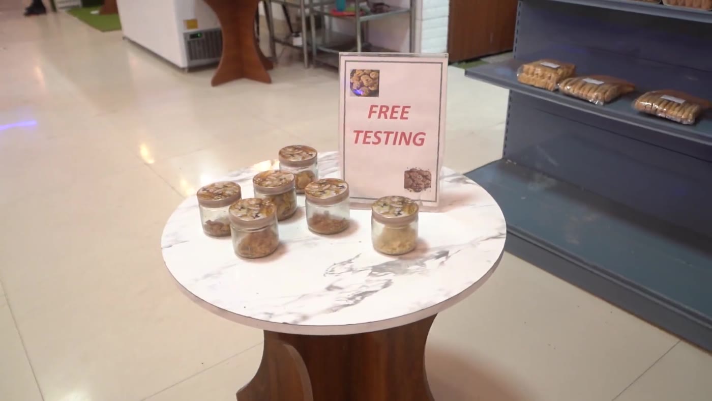Free tasting display of fresh barfi and bengali sweets
